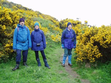 Amongst the gorse